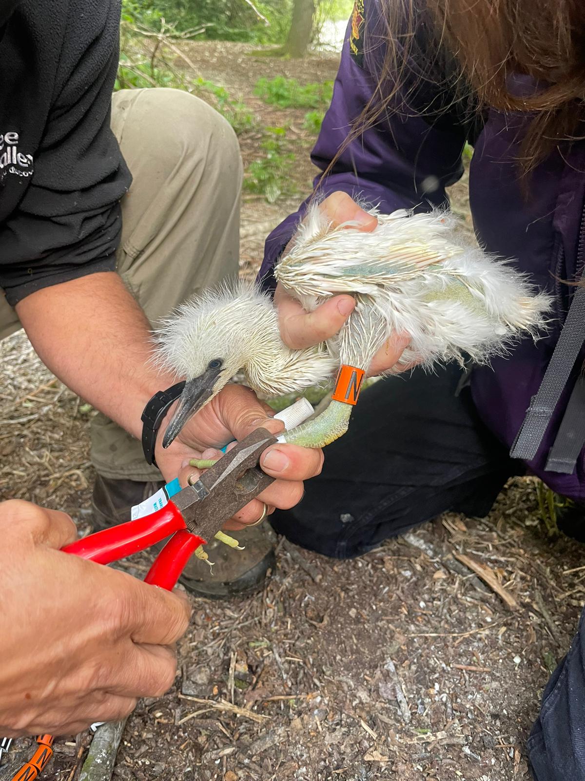 PHOTO 2022 05 07 16 50 12