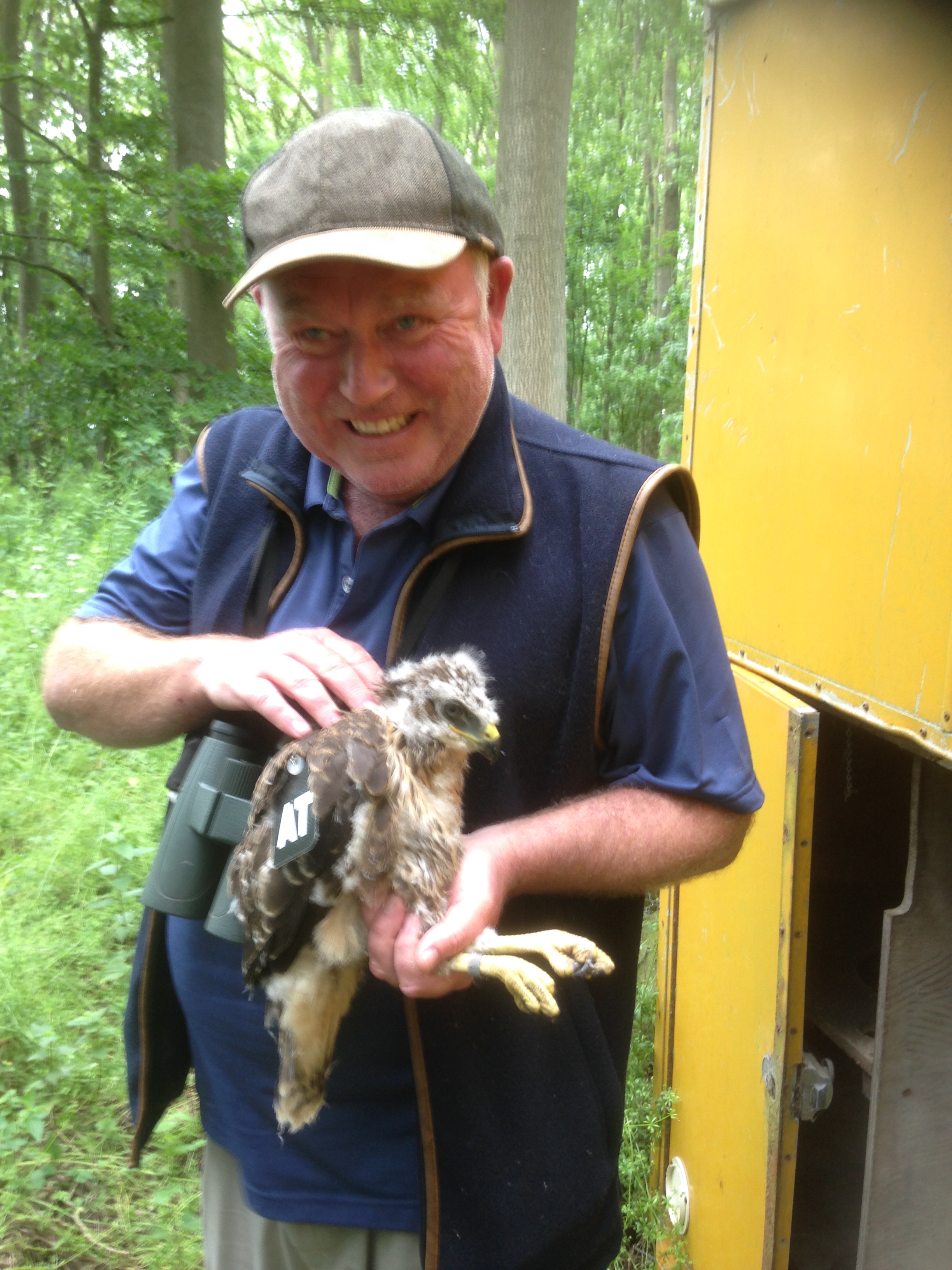 15 June Buzzard and Billy